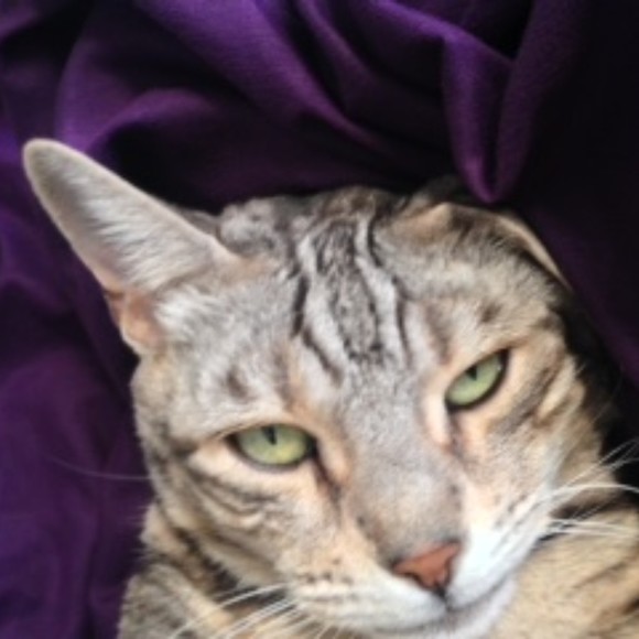 Meet your Posher, Lisa - Picture 1 of 1